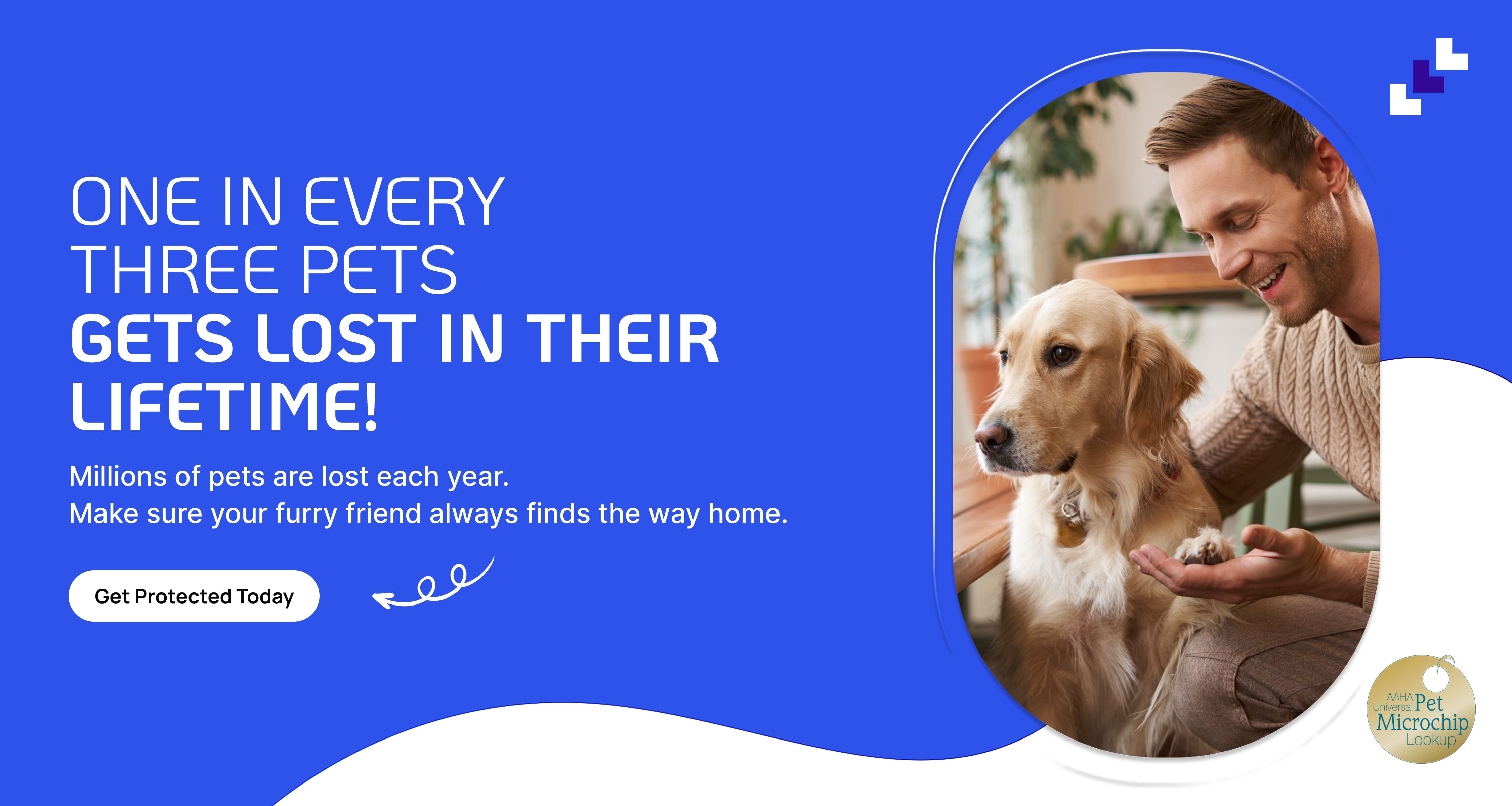 Dog Microchipping Service